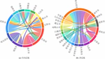 "Hierarchy-network" structure of cities in Northeast China based on Baidu migration data